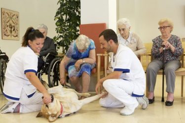 Terapia asistida con animales en residencias de ancianos